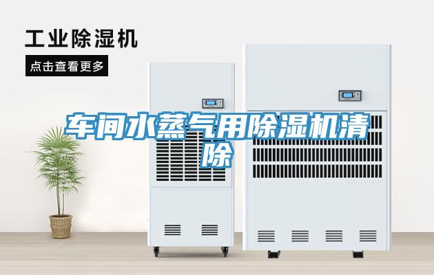 車間水蒸氣用91看片软件大全清除