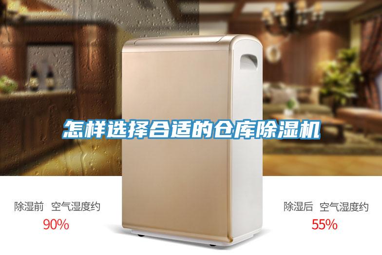 怎樣選擇合適的倉庫91看片软件大全