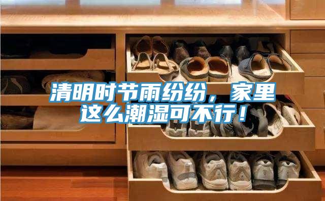 清明時節雨紛紛，家裏這麽潮濕可不行！