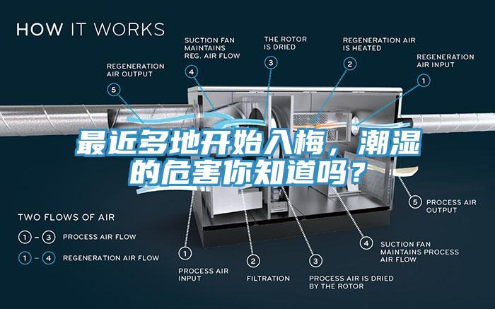 最近多地開始入梅，潮濕的危害你知道嗎？