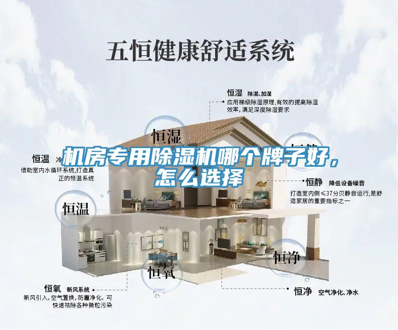 機房專用91看片软件大全哪個牌子好，怎麽選擇