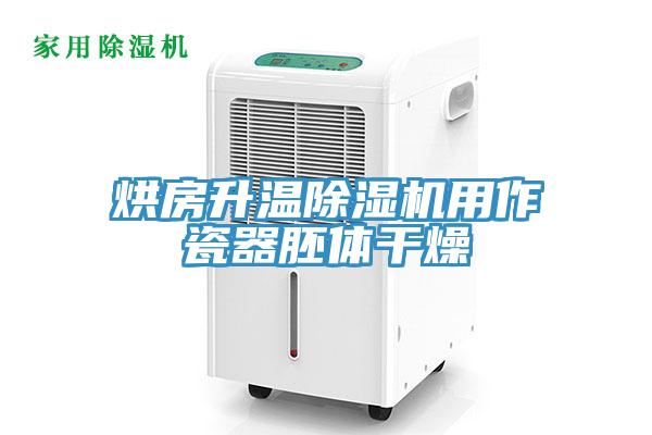 烘房升溫91看片软件大全用作瓷器胚體幹燥