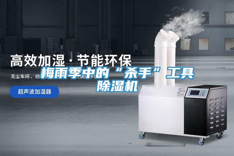 梅雨季中的“殺手”工具91看片软件大全