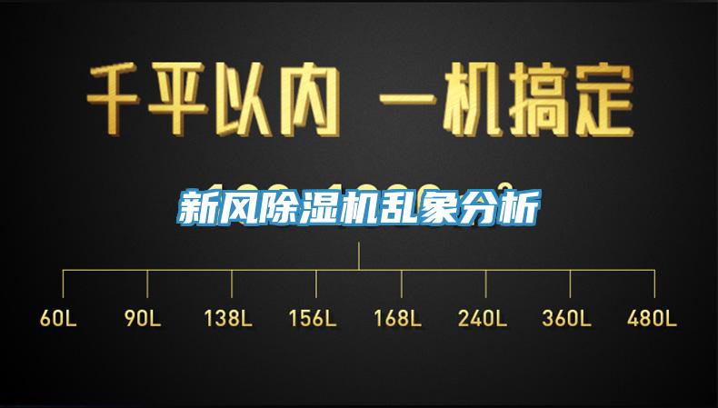 新風91看片软件大全亂象分析