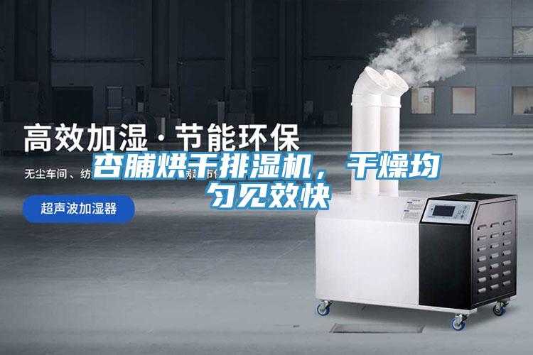 杏脯烘幹排濕機，幹燥均勻見效快
