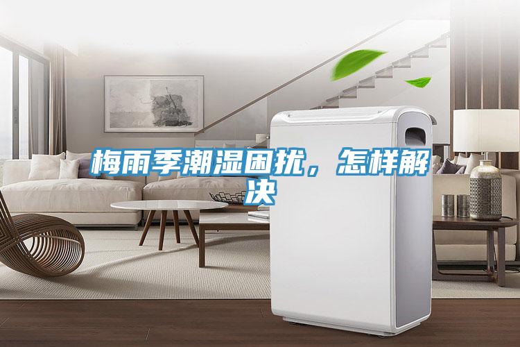 梅雨季潮濕困擾，怎樣解決
