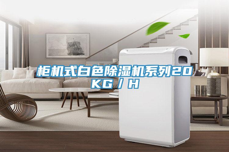 櫃機式白色91看片软件大全係列20KG／H