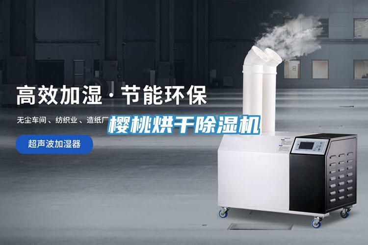 櫻桃烘幹91看片软件大全