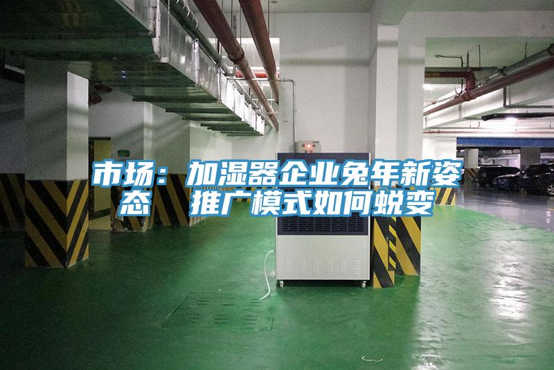 市場：加濕器企業兔年新姿態  推廣模式如何蛻變