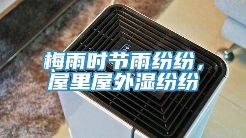 梅雨時節雨紛紛，屋裏屋外濕紛紛