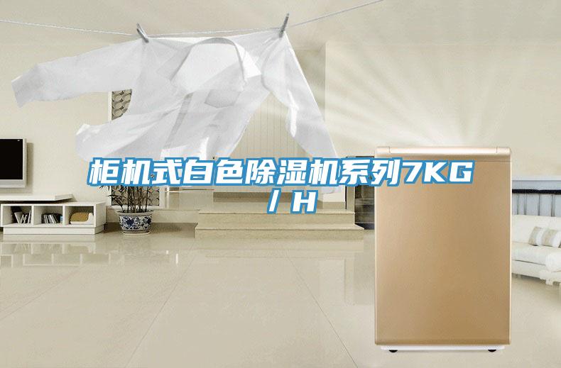 櫃機式白色91看片软件大全係列7KG／H