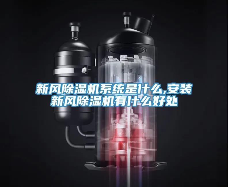 新風91看片软件大全係統是什麽,安裝新風91看片软件大全有什麽好處
