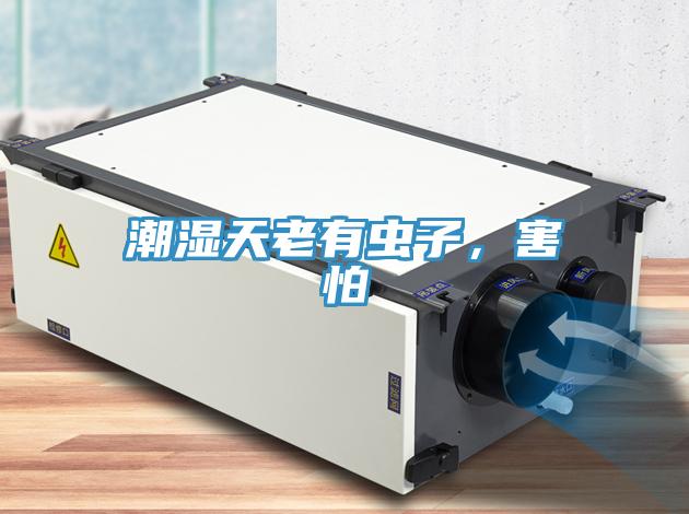 潮濕天老有蟲子，害怕