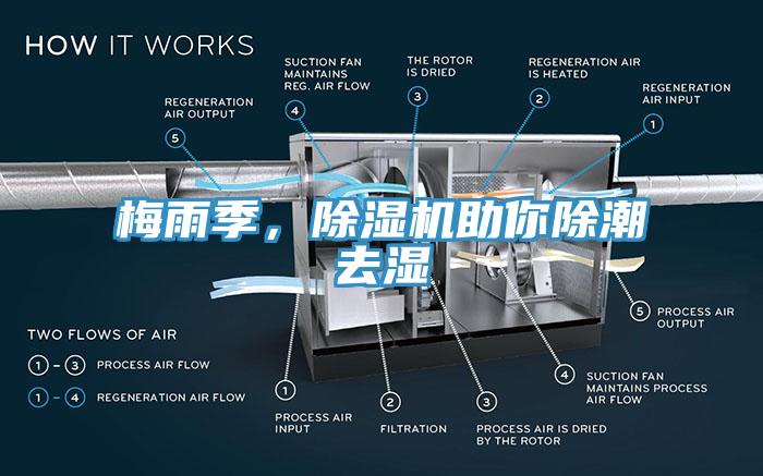 梅雨季，91看片软件大全助你除潮去濕