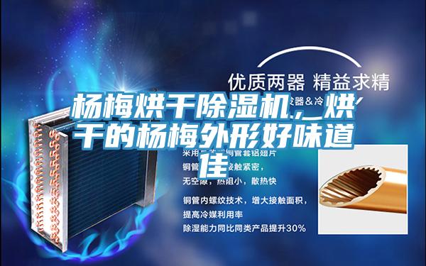 楊梅烘幹91看片软件大全，烘幹的楊梅外形好味道佳