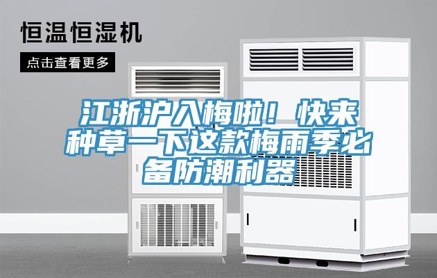 江浙滬入梅啦！快來種草一下這款梅雨季必備防潮利器