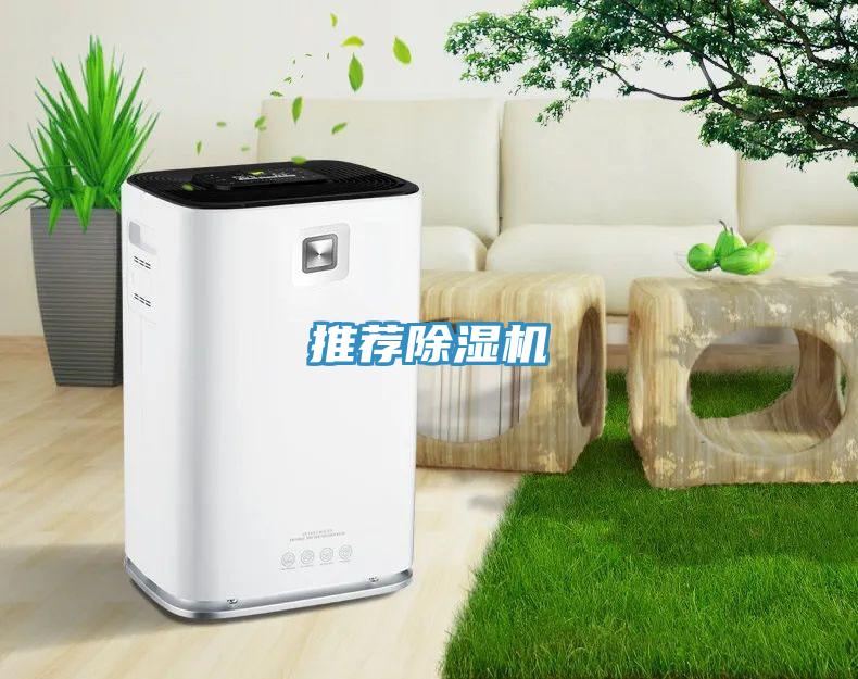 推薦91看片软件大全