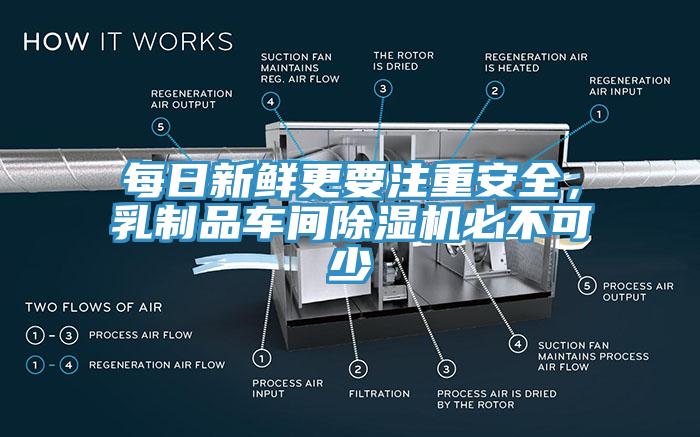 每日新鮮更要注重安全，乳製品車間91看片软件大全必不可少
