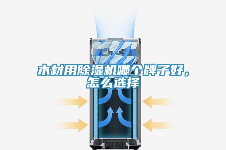 木材用91看片软件大全哪個牌子好，怎麽選擇