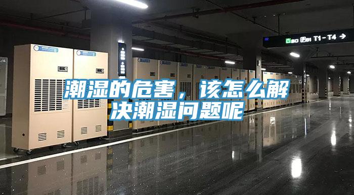 潮濕的危害，該怎麽解決潮濕問題呢
