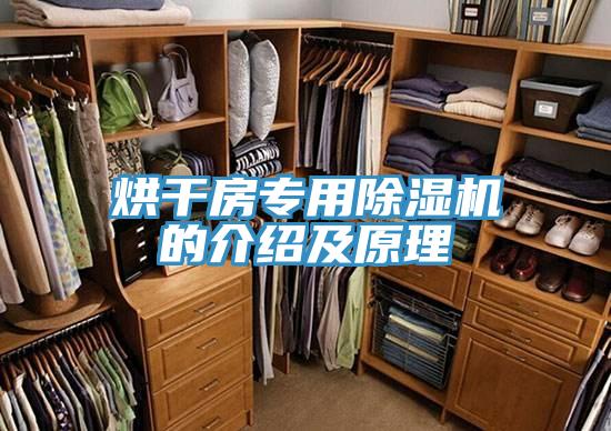 烘幹房專用91看片软件大全的介紹及原理