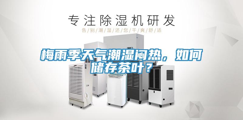 梅雨季天氣潮濕悶熱，如何儲存茶葉？