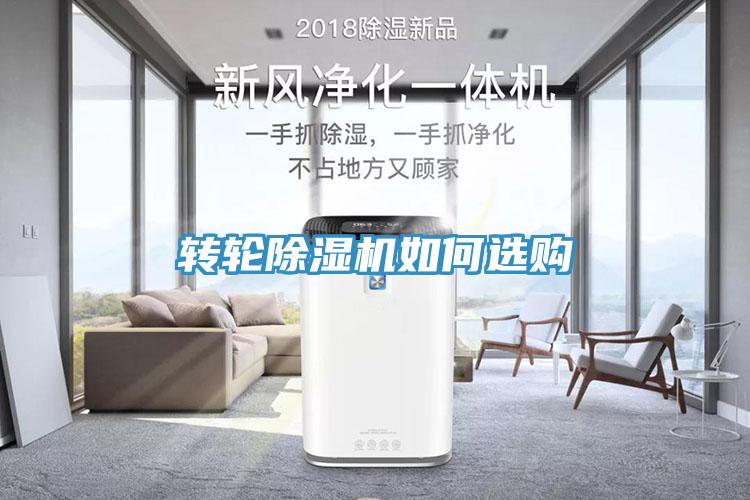 轉輪91看片软件大全如何選購