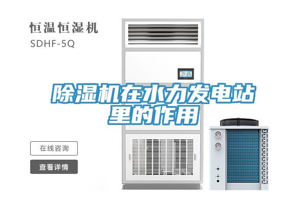 91看片软件大全在水力發電站裏的作用