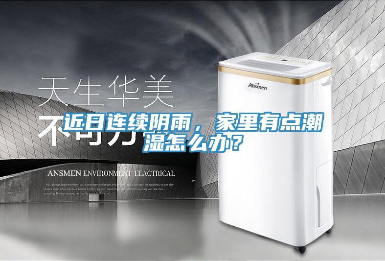 近日連續陰雨，家裏有點潮濕怎麽辦？