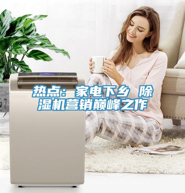 熱點：家電下鄉 91看片软件大全營銷巔峰之作