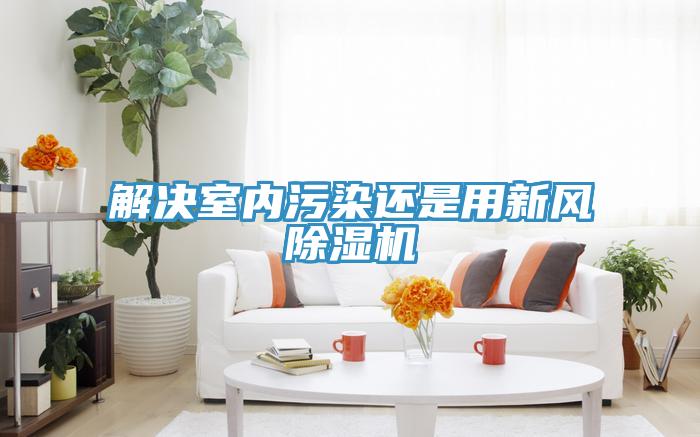 解決室內汙染還是用新風91看片软件大全