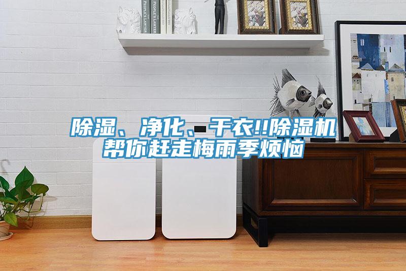 除濕、淨化、幹衣!!91看片软件大全幫你趕走梅雨季煩惱