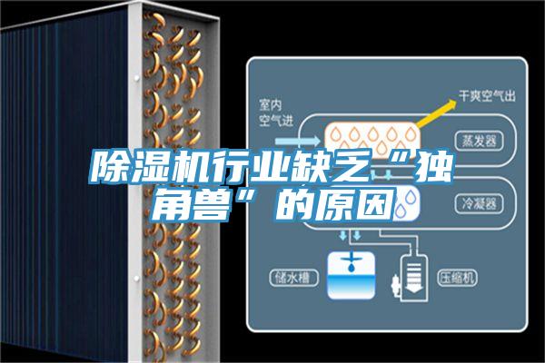 91看片软件大全行業缺乏“獨角獸”的原因