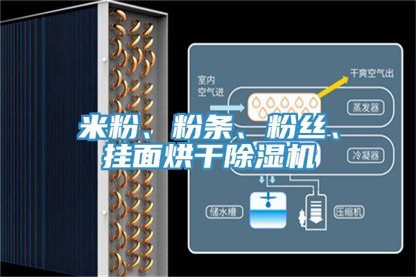 米粉、粉條、粉絲、掛麵烘幹91看片软件大全