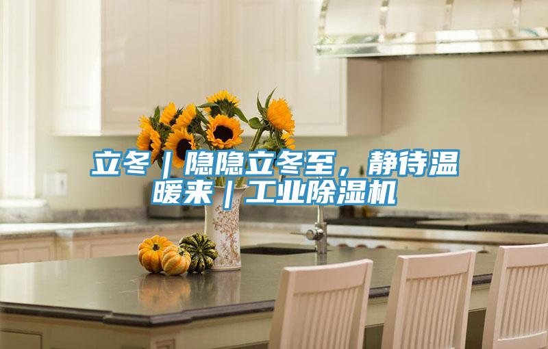 立冬｜隱隱立冬至，靜待溫暖來｜工業91看片软件大全