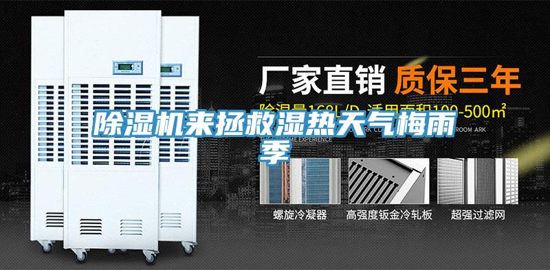 91看片软件大全來拯救濕熱天氣梅雨季