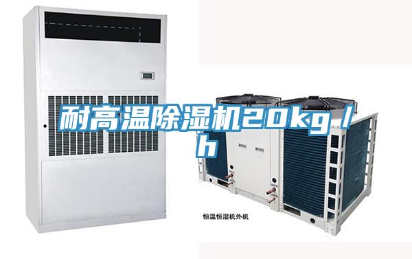 耐高溫91看片软件大全20kg／h