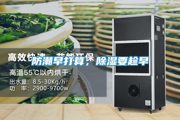 防潮早打算，除濕要趁早