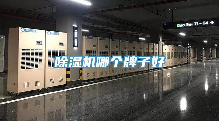 91看片软件大全哪個牌子好