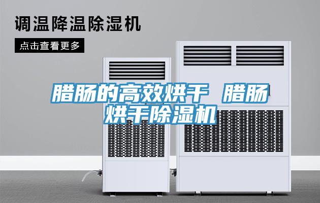 臘腸的高效烘幹 臘腸烘幹91看片软件大全