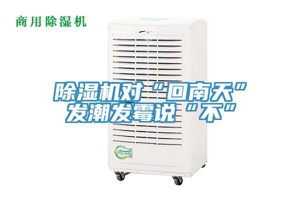 91看片软件大全對“回南天”發潮發黴說“不”