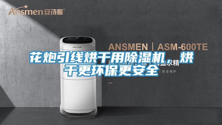 花炮引線烘幹用91看片软件大全，烘幹更環保更安全