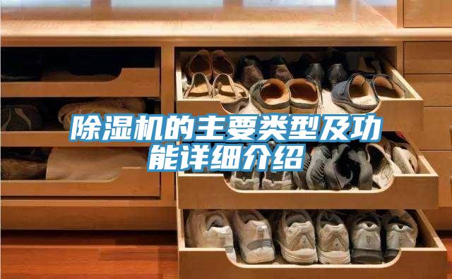 91看片软件大全的主要類型及功能詳細介紹