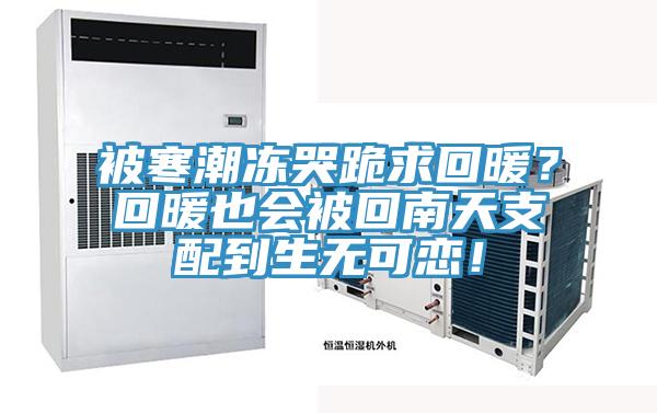 被寒潮凍哭跪求回暖？回暖也會被回南天支配到生無可戀！
