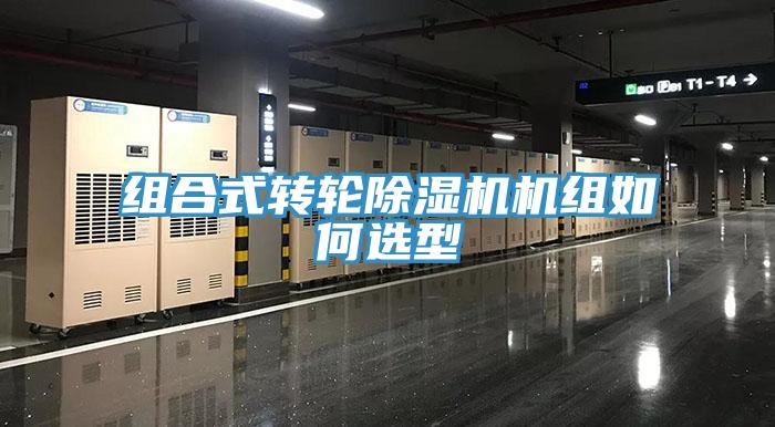 組合式轉輪91看片软件大全機組如何選型