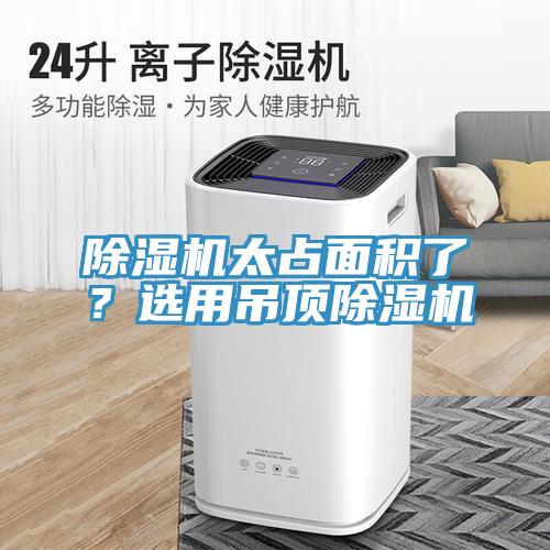 91看片软件大全太占麵積了？選用吊頂91看片软件大全