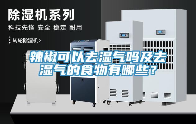 辣椒可以去濕氣嗎及去濕氣的食物有哪些？