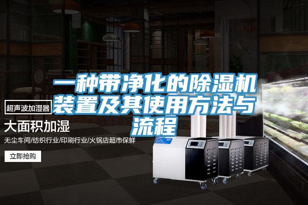 一種帶淨化的91看片软件大全裝置及其使用方法與流程