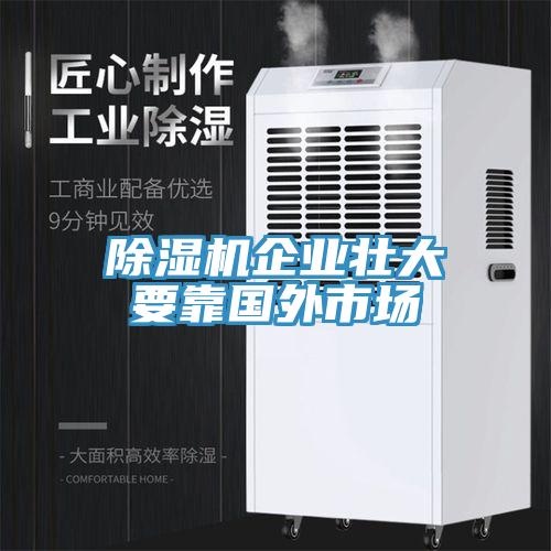91看片软件大全企業壯大要靠國外市場