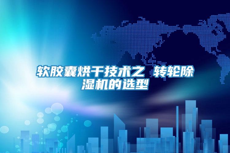 軟膠囊烘幹技術之 轉輪91看片软件大全的選型
